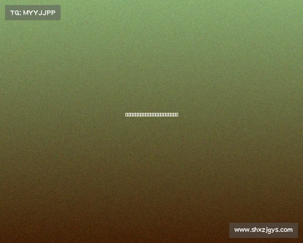 詹姆斯再创历史纪录，湖人队收获一场关键胜利