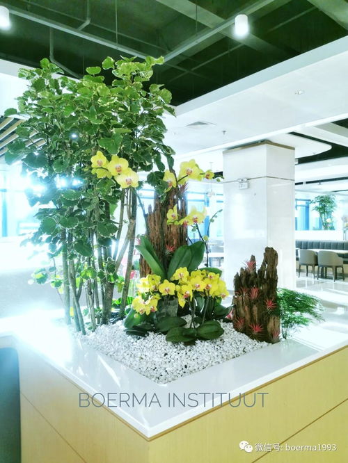 花店业绩增长新引擎 组合盆栽与园艺设计的创意融合