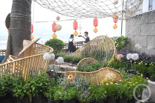 谷子、米糠与种子变身艺术品 这场花园建造节邀你打卡园艺设计之美