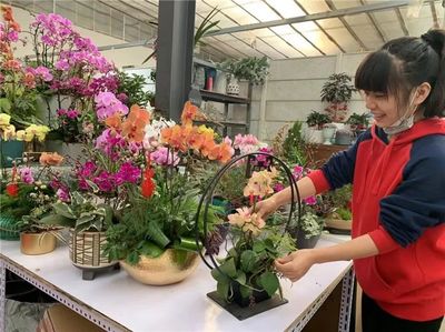 花香满京华，欢喜迎新年——2020年北京迎春年宵花展开启园艺设计新篇