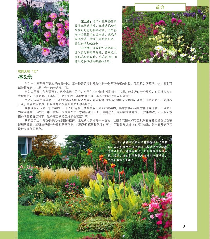 指尖上的四季花园 现货花坛与花境设计实用指南