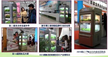 日本设施园艺与植物工厂的发展,给我们带来了哪些启发?我们又将如何发展?